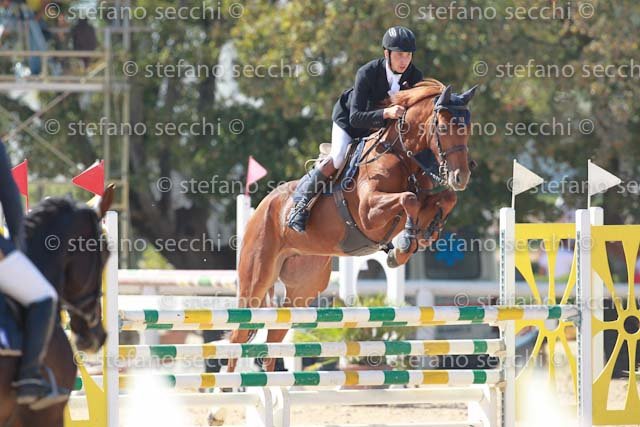 MATTEUCCI_IPPIA_GIO CAV 2011_SS3_7037.jpg